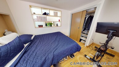 115 Mt Auburn St, Unit 44 in Cambridge, MA - Building Photo - Building Photo