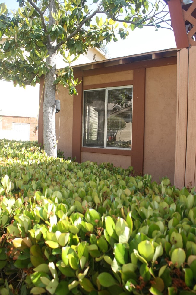 14131 Caminito Quevedo, Unit 14131 in San Diego, CA - Building Photo - Building Photo