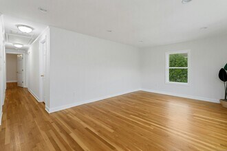 119 Forest St in New Canaan, CT - Building Photo - Building Photo