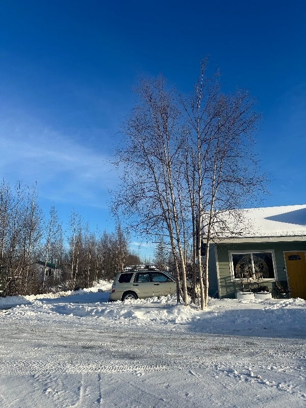 15840 W Hess Ln in Wasilla, AK - Foto de edificio - Building Photo