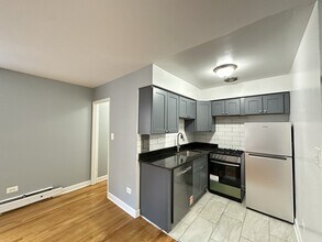 1515 W Morse Ave in Chicago, IL - Building Photo - Building Photo