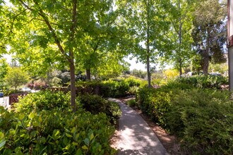 15649 Davis Cup Ln in Ramona, CA - Building Photo - Building Photo