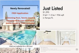 7517 Pitch Pine Cir in Tampa, FL - Building Photo