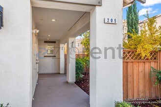 205 Vereda del Turia in Morgan Hill, CA - Building Photo - Building Photo