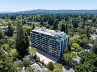 Menlo Towers in Menlo Park, CA - Foto de edificio - Building Photo