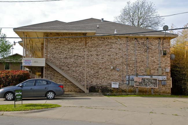 Chestnut Oaks Apartments in Denton, TX - Building Photo - Building Photo