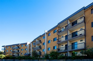 Stetson Place Apartments