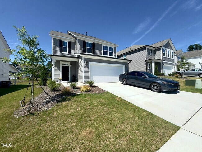 47 Flowing River Rd in Angier, NC - Building Photo - Building Photo