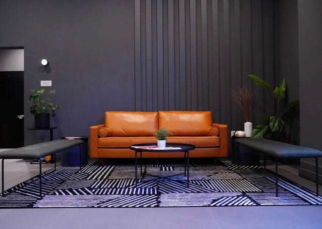 SOLO on Chestnut - 4233