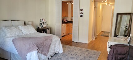 21 W Goethe St in Chicago, IL - Building Photo - Building Photo