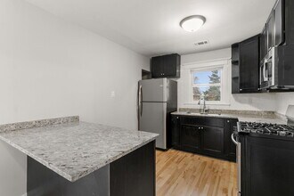 1144 N Austin Blvd in Oak Park, IL - Building Photo - Building Photo