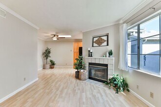 4575 Contour Blvd in San Diego, CA - Building Photo - Building Photo