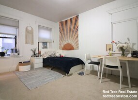 238 Hemenway St, Unit 9 in Boston, MA - Building Photo