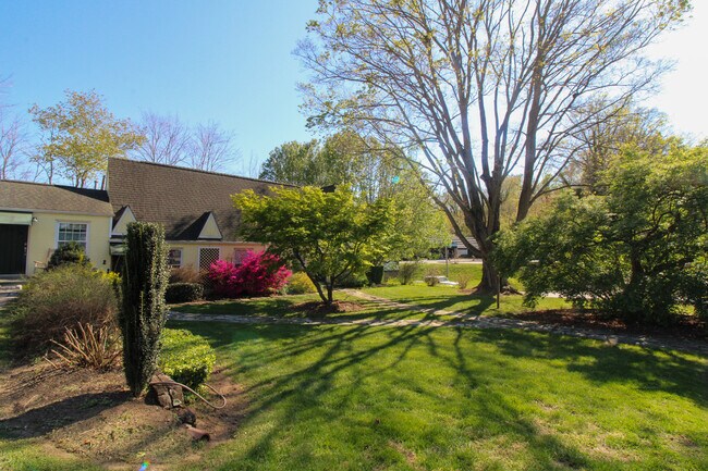 375 Weaverville Rd, Unit 3, Unit 3