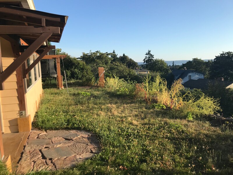 5202 37th Ave SW in Seattle, WA - Building Photo