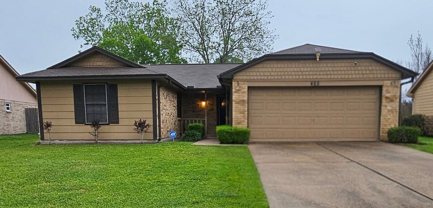 463 Lost Rock Dr in Webster, TX - Building Photo