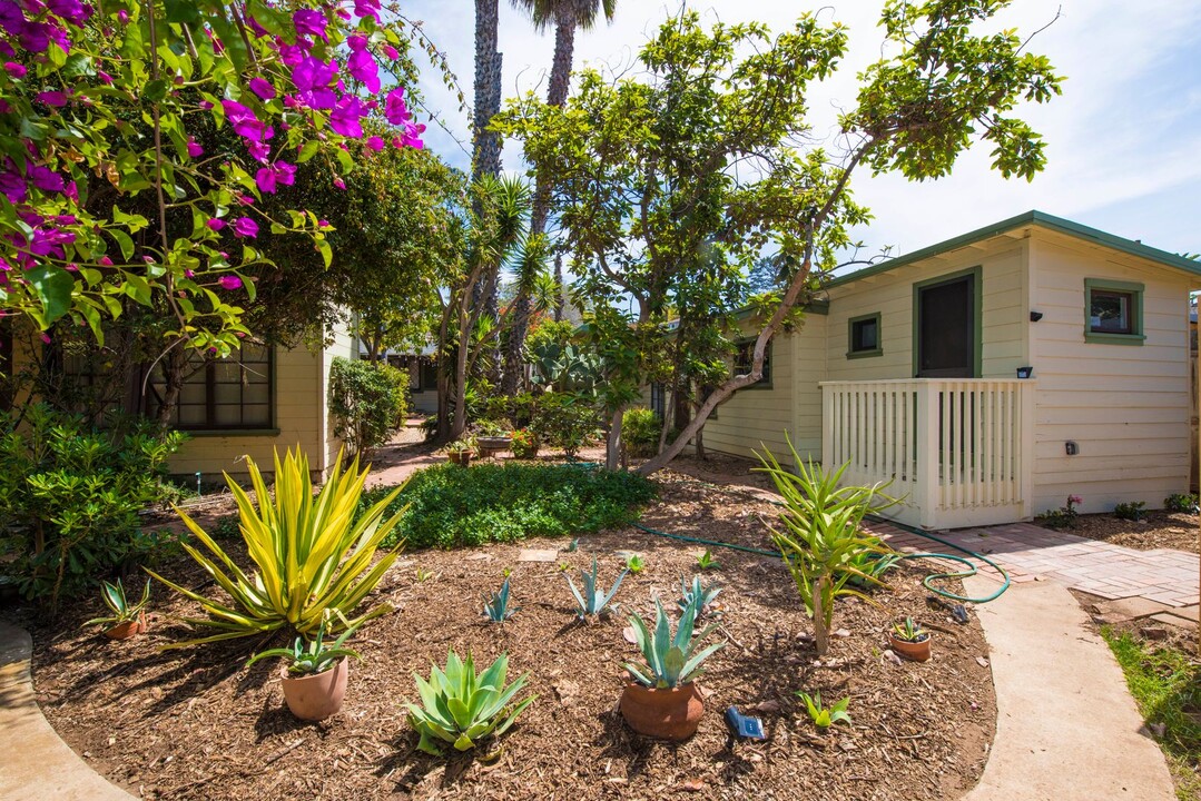 227 Cereus St in Encinitas, CA - Building Photo