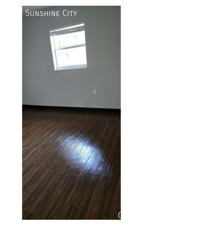 2010 Holly Ct in Tampa, FL - Building Photo - Building Photo