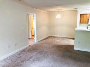 18193 Bridle Club Dr in Tampa, FL - Building Photo - Building Photo