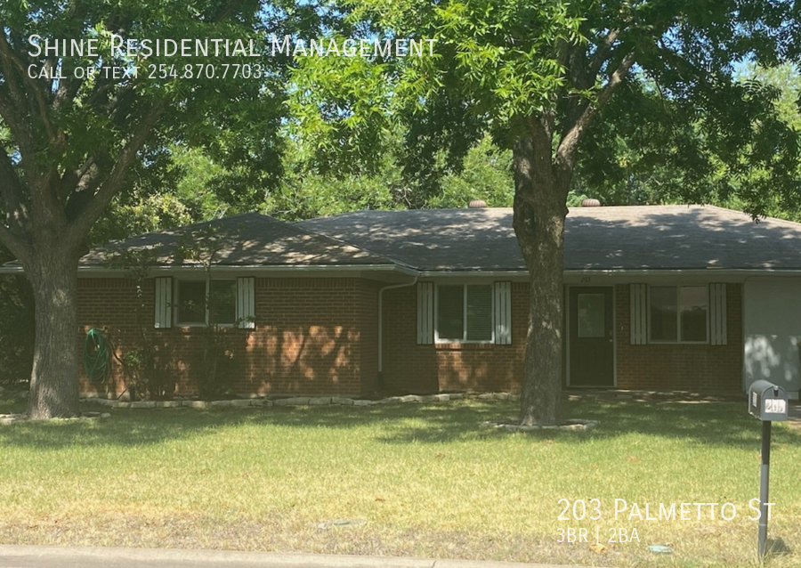 203 Palmetto St in Belton, TX - Building Photo