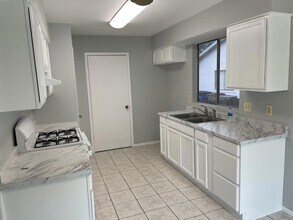 305 Hickok Ct in Austin, TX - Foto de edificio - Building Photo