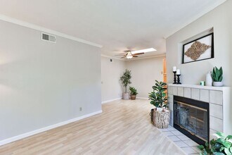 4575 Contour Blvd in San Diego, CA - Building Photo - Building Photo