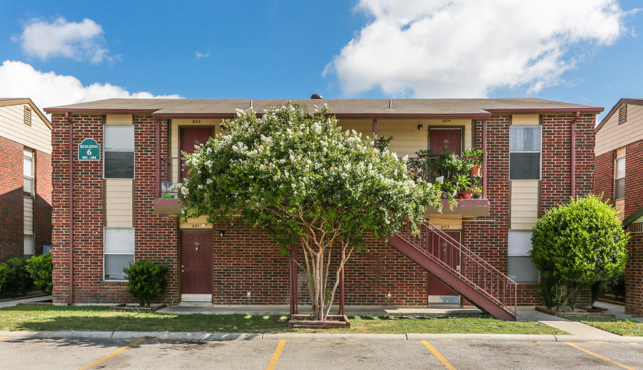 Hutchins Palms in San Antonio, TX - Foto de edificio