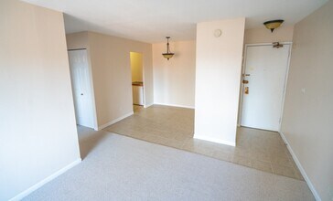 3620 N Pine Grove Ave in Chicago, IL - Building Photo - Building Photo
