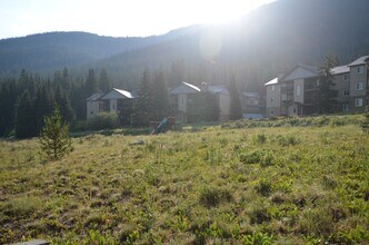 107 Peaks View Ct in Blue River, CO - Building Photo - Building Photo