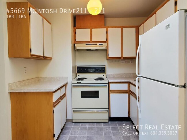 property at 45669 McIntosh Dr
