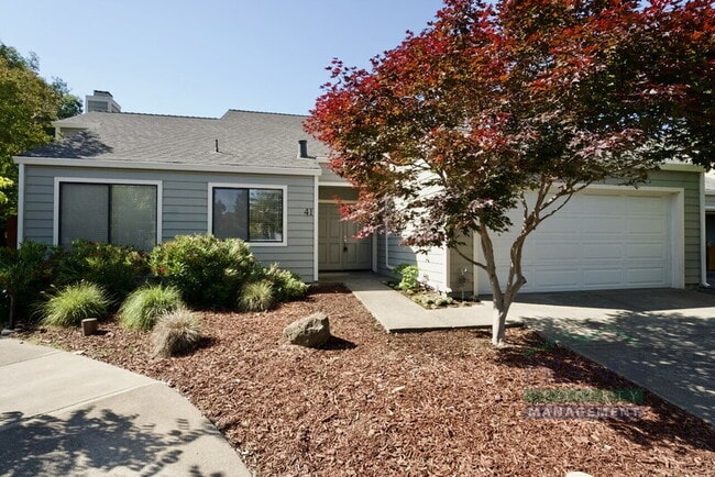 property at 41 Pine Tree Ct