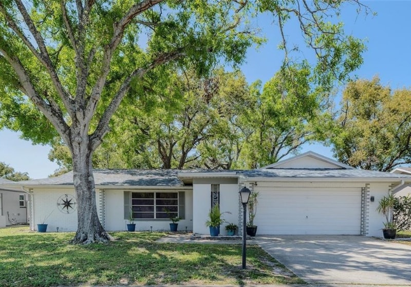3219 Spanish Moss Ln in Palm Harbor, FL - Building Photo