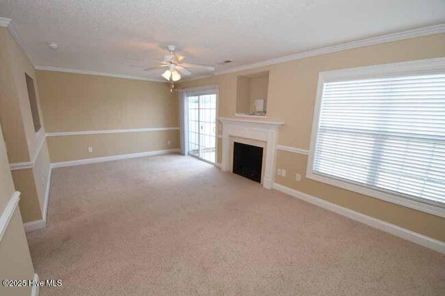 104 Chandler Dr in Greenville, NC - Building Photo - Building Photo