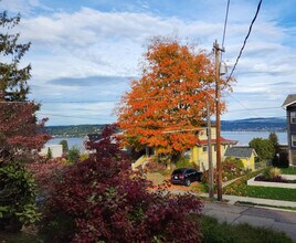 9813 62nd Ave S, Unit SI ID1310552P in Seattle, WA - Building Photo - Building Photo