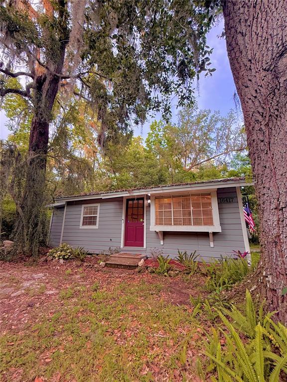16417 Co Rd 234 in Micanopy, FL - Building Photo - Building Photo