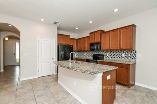 10425 Orchid Mist Ct in Riverview, FL - Building Photo - Building Photo