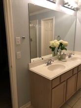 1029 Forest Bluff Trail, Unit Full House in Round Rock, TX - Foto de edificio - Building Photo