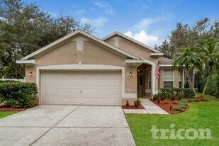 18134 Antietam Ct in Tampa, FL - Building Photo