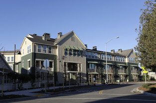 Carlow Court Apartments at Emerald Vista