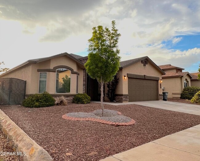 3109 Timber Pl in El Paso, TX - Building Photo - Building Photo