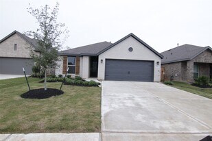 2511 Chestnut Oak Cir in Katy, TX - Building Photo