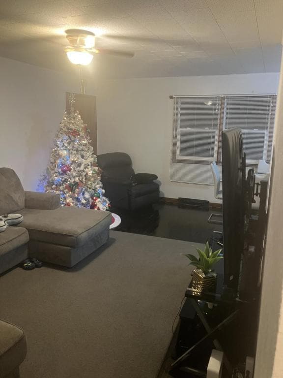 529 S Jackson St in Osceola, IA - Building Photo - Building Photo