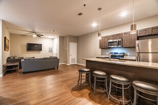 The Lusso in Conway, AR - Building Photo