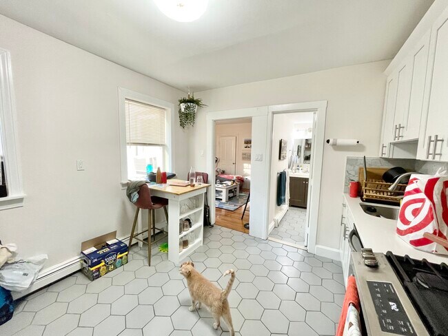 17 Spring Garden St, Unit 1 in Boston, MA - Building Photo - Building Photo