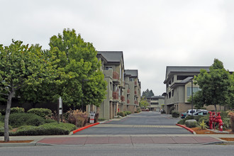 River Street Place Condos in Santa Cruz, CA - Building Photo - Building Photo