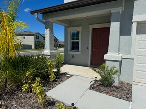 31350 Barrel Wave Way in Wesley Chapel, FL - Building Photo - Building Photo