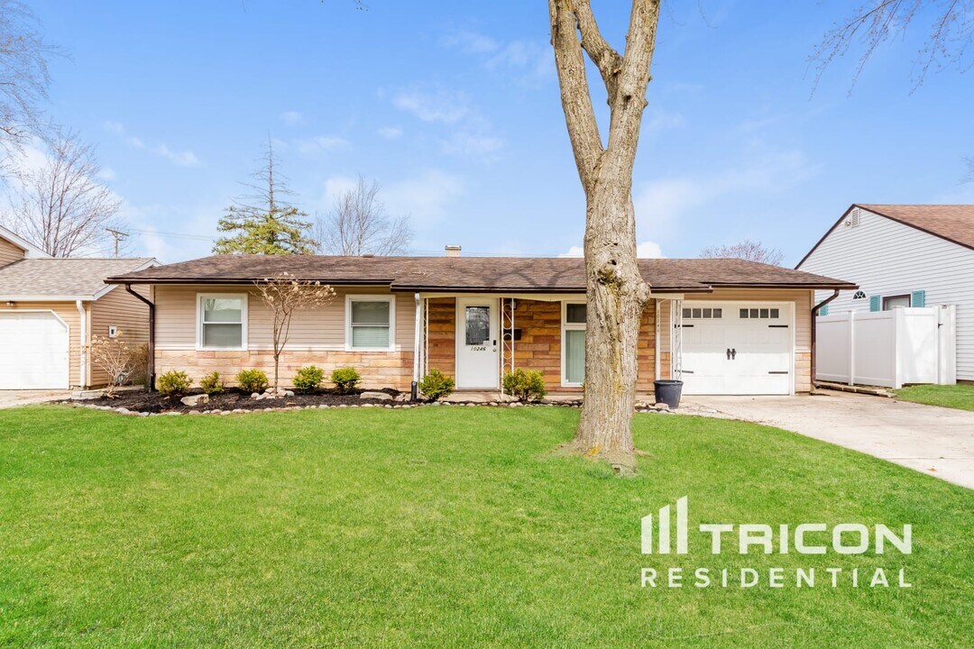 10246 Huntington Ct in Orland Park, IL - Building Photo