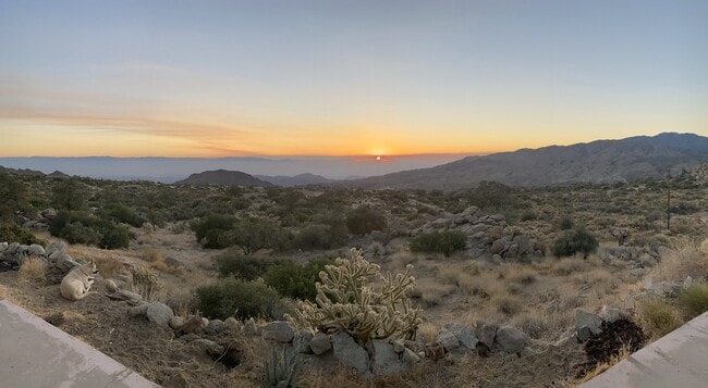 61579 Sun Terrace in Mountain Center, CA - Building Photo - Building Photo
