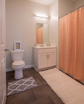 The Hill at Rochester