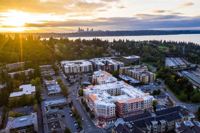 The Mercer Apartment Homes